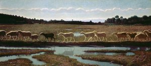 Zwierciadło życia: to, co robi pierwszy, podążają inni, 1895-98