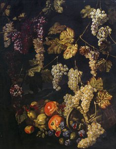 Martwa natura z winogronami, liśćmi winorośli i innymi owocami, obraz olejny autorstwa Giuseppe Recco (1634-1695)
