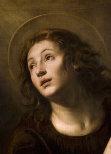Św. Jan Ewangelista
