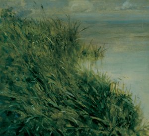 Studium bagienne autorstwa Giuseppe or Joseph de Nittis