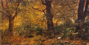 Studium drewna autorstwa Giuseppe or Joseph de Nittis