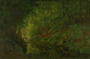 Potok w lesie Sæbygaard, Vendsyssel, Jutlandia