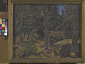 polish autorstwa Gottfried Kallstenius