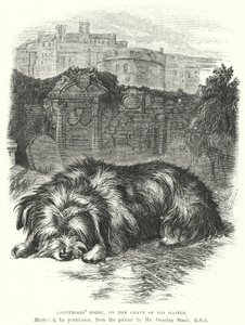 Bobby Greyfriars