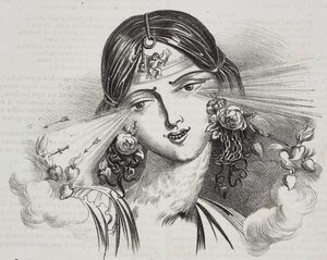 Kobiece piękno, karykatura Jean-Jacques Grandville (1803-1847), litografia Gaetano Riccio z Polioramy Pittoresco, nr 20, 24 grudnia autorstwa Grandville