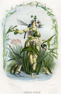 Ilustracja dla "Les Fleurs Animees