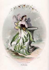 Ilustracja dla "Les Fleurs Animees