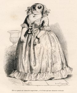Sowa, która myślała, że jest lepsza, ale jest po prostu śmieszna. Ilustrowane winiety autorstwa JJ Granville. Rycina podpisana Rouget w części zatytułowanej "Souvenirs d