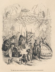 Koncert owadów na balu. Miniatury ilustrowane przez JJ Granville. Grawer sygnowany Godardem w części zatytułowanej "Przygody motyla" napisanej przez PJ Stahla w "Scenach z życia prywatnego i publicznego zwierząt". Paryż, J. Hetzel i Paulin autorstwa Grandville