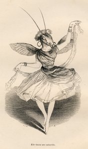 Zatańczyła saltarelle. Miniatury ilustrowane przez JJ Granville. Grawer sygnowali Andrzej, Best i Leloir w części zatytułowanej „Przygody motyla” napisanej przez PJ Stahla w „Sceny z życia prywatnego i publicznego zwierząt”. Paryż, J. Hetzel i Pau autorstwa Grandville