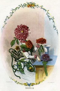 Ilustracja dla "Les Fleurs Animees