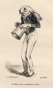 Tchórzliwy Lievre w eleganckim kostiumie. Winiety ilustrowane przez JJ Granville. Rycina sygnowana Breviere w części "Historia zająca" napisana przez PJ Stahla w "Scenach z życia prywatnego i publicznego zwierząt". Paryż, J. Hetzel i Paulin autorstwa Grandville