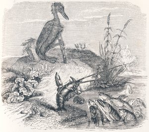 Ryby i kormoran - Bajki La Fontaine autorstwa Grandville