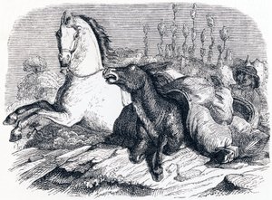 Koń i osioł - Bajki La Fontaine autorstwa Grandville