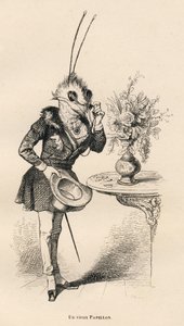 Stary motyl patrzący w okularach. Miniatury ilustrowane przez JJ Granville. Grawer sygnowany Breviere w części zatytułowanej „Przygody motyla” napisanej przez PJ Stahla w „Sceny z życia prywatnego i publicznego zwierząt”. Paryż, J. autorstwa Grandville
