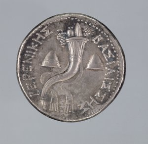 Srebrna Didrachma Berenice II (srebrna) (patrz również 293751) autorstwa Greek