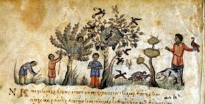 Polowanie z sokołami na ptaki – w „De Venatione” Oppianusa, rękopis grecki z XIII wieku. Biblioteca Marciana. Wenecja autorstwa Greek School