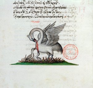 Ms 3401 Pelikan przebijający pierś, by nakarmić młode, z bestiariusza Manuela Philesa, 1566 autorstwa Greek School