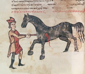 Pani Grec 2244 fol.37v Operująca na koniu autorstwa Greek School
