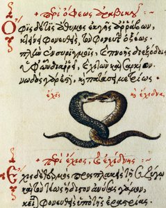 Sprzęg wężowy, test i miniatura z De animalium natura et proprietate libellus, autorstwa Aelianus (II-III w. n.e.) autorstwa Greek School