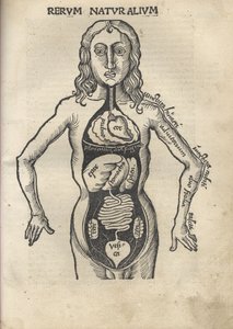 Margarita filozoficzna Anatomia, 1504