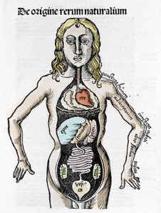 Gregor Reisch (1467-1525), Bale 1517 - Margaret of Philosophica (1467-1525), Bale