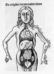 Gregor Reisch (1467-1525), Bale 1517 - Margaret of Philosophica (1467-1525), Bale