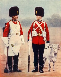 „Królewscy fizylierzy walijscy”, 1901.