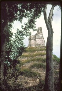 Świątynia Inskrypcji, ok. 700 r. n.e. autorstwa Guatemalan School