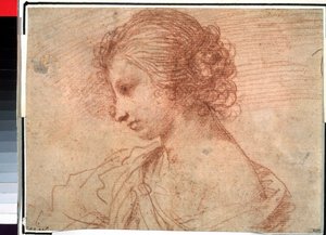 Portret młodej dziewczyny. (Portret piersi młodej kobiety)