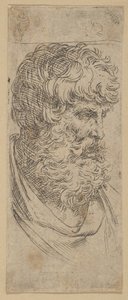 Popiersie brodatego mężczyzny, ca. 1600-1640. autorstwa Guido Reni