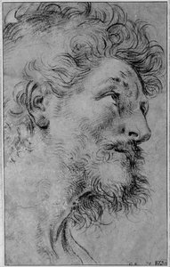 Studium głowy świętego Kryspina autorstwa Guido Reni