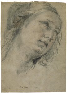 Głowa młodej kobiety patrzącej w górę autorstwa Guido Reni