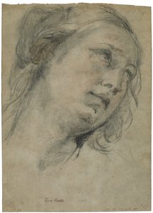 Głowa młodej kobiety patrzącej w górę, ok. 1609 (czarno-czerwona kreda z akcentami białej kredy na brązowym papierze wykładanym) autorstwa Guido Reni