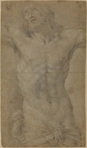 Tułów Chrystusa na krzyżu autorstwa Guido Reni
