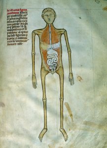 Medycyna: anatomia i deska chirurgiczna przedstawiająca korę. Widok układu pokarmowego. Strona zaczerpnięta z rękopisu „Liber notables Filippi siódmy król Franków, wydobyty z ksiąg Galien”” autorstwa Gui de Pavia