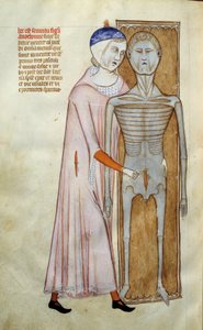 Medycyna: anatomia i deska chirurgiczna przedstawiająca scenę sekcji - Strona zaczerpnięta z rękopisu „Liber notables Filipa siódmego króla Franków, wydobyty z ksiąg Galien” autorstwa Gui de Pavie