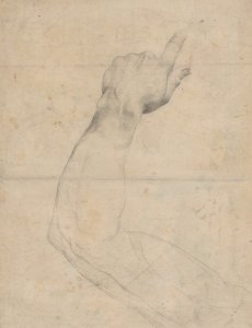 Studium ramienia [verso]