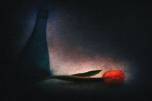 Tulipan w nastrojowym wydaniu i butelka