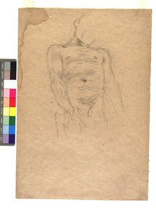 Männlicher Torso autorstwa Gustav Klimt