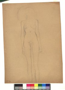 Stehender weiblicher Akt autorstwa Gustav Klimt