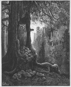 Myszy i sowa - z "Bajek" Jeana de La Fontaine (Lafontaine) (1621-95) - rycina wg Gustave