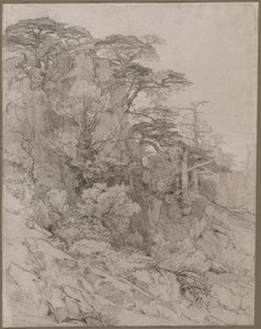 Drzewa na skalistym wzgórzu, koniec XIX wieku. autorstwa Gustave Achille Guillaumet