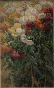Chryzantemy w ogrodzie w Petit-Gennevilliers autorstwa Gustave Caillebotte