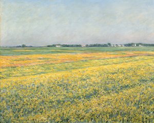 Równina Gennevilliers, żółte pola; Równina Gennevilliers, żółte pola, 1884 autorstwa Gustave Caillebotte