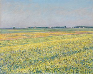 Równina Gennevilliers, żółte pola autorstwa Gustave Caillebotte