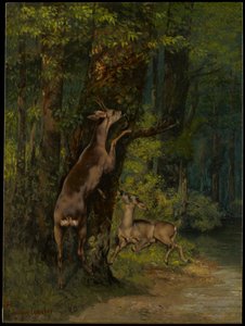  autorstwa Gustave Courbet