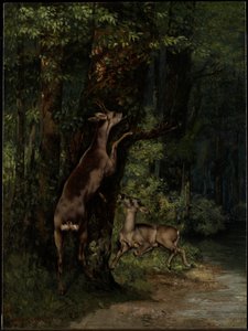 Jeleń w lesie autorstwa Gustave Courbet