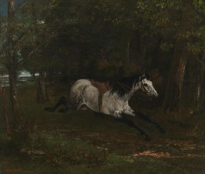 Spłoszony koń autorstwa Gustave Courbet