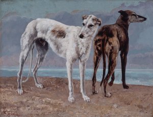 Szaraki Comte de Choiseul autorstwa Gustave Courbet